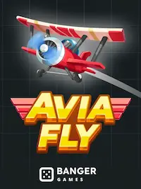 Avia Fly crash at BD188 COM